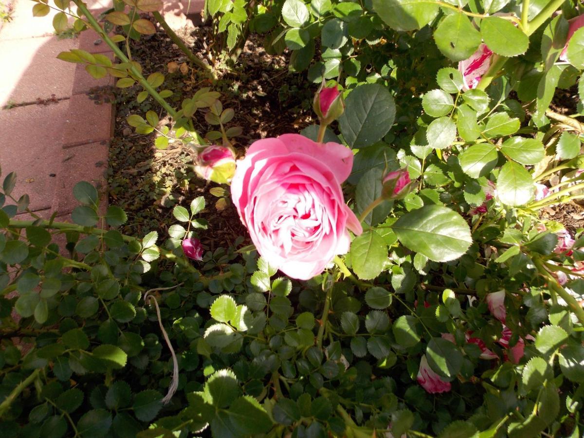 L'atelier Du Bleu Holiday home